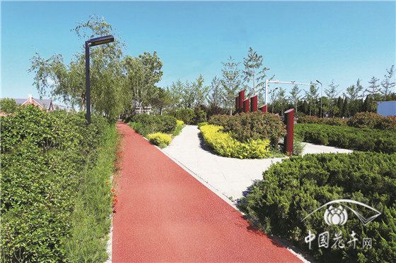 用智慧与匠心让绿意更长久 