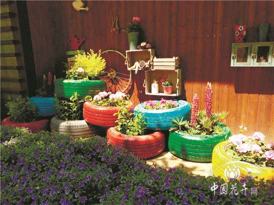 反脆弱？化危为机？看花园中心如何应对疫情 