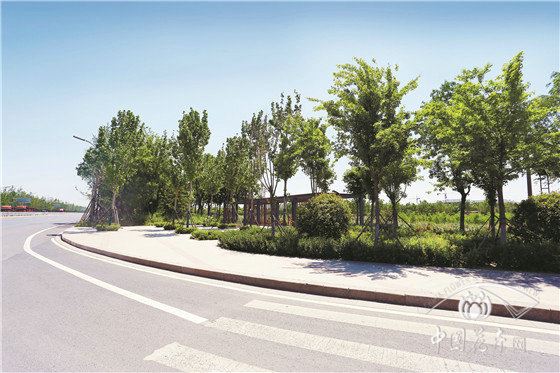 用智慧与匠心让绿意更长久 