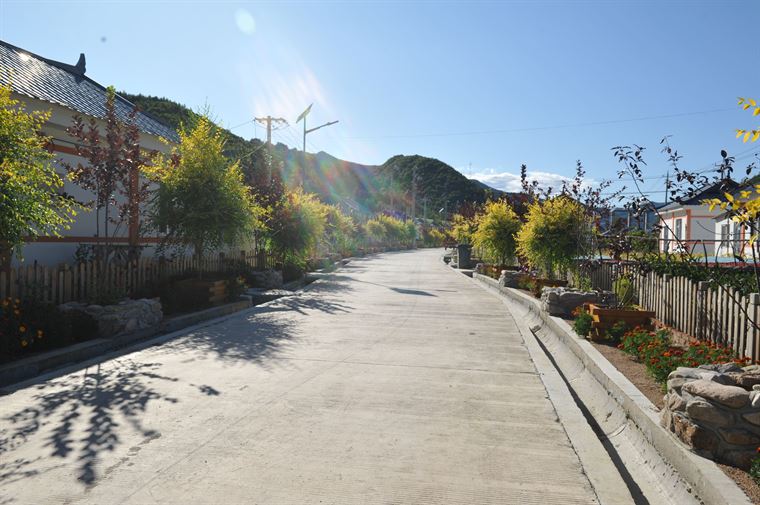 老梁的绿色脱贫梦--记录和龙市生态扶贫的每一抹绿 老梁的绿色脱贫梦--记录和龙市生态扶贫的每一抹绿