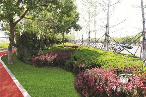 用智慧与匠心让绿意更长久 