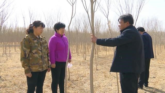 甘肃省酒泉市瓜州县严把苗木检疫关 筑牢生态“防火墙”