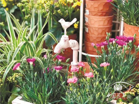 反脆弱？化危为机？看花园中心如何应对疫情 