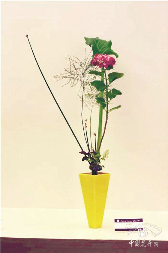 “山川异域，风月同天”之外，还有多少插花文化流转于中日之间？ 