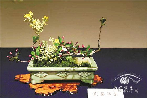 “山川异域，风月同天”之外，还有多少插花文化流转于中日之间？ 