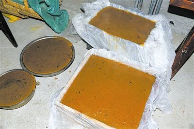 栎树：养人养眼的多宝树