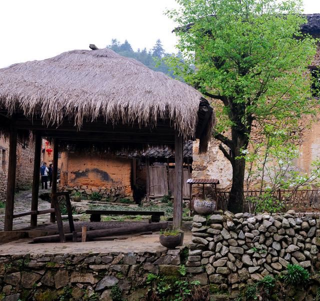 在路上 | 到高田坑赴梨花之约 在路上 | 到高田坑赴梨花之约