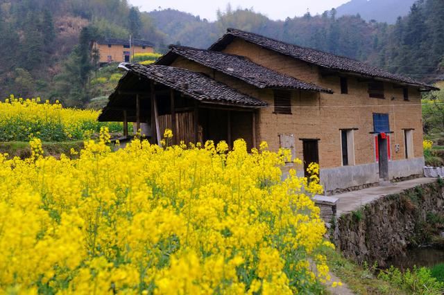 在路上 | 到高田坑赴梨花之约 在路上 | 到高田坑赴梨花之约