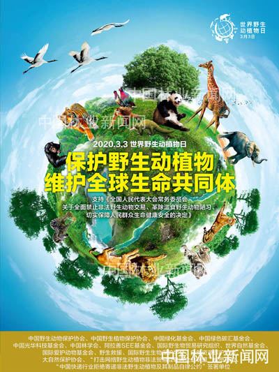 全民抗疫 林草奋力