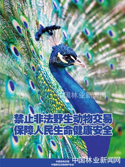 全民抗疫 林草奋力