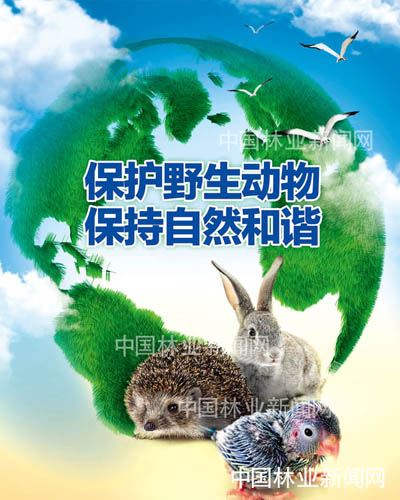 全民抗疫 林草奋力