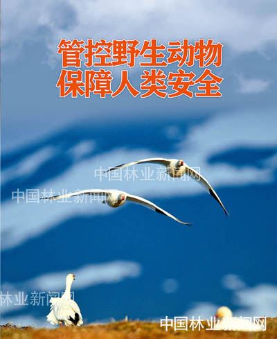 全民抗疫 林草奋力