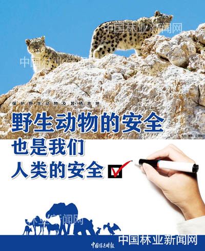 全民抗疫 林草奋力