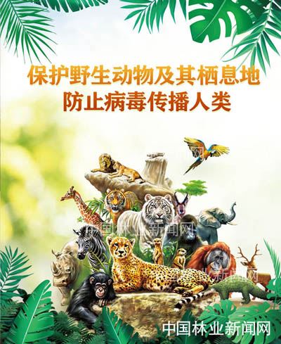 全民抗疫 林草奋力