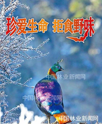 全民抗疫 林草奋力