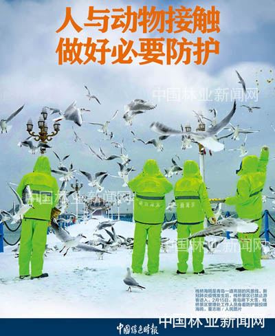 全民抗疫 林草奋力