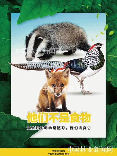 全民抗疫 林草奋力