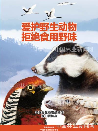 全民抗疫 林草奋力