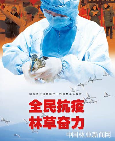 全民抗疫 林草奋力