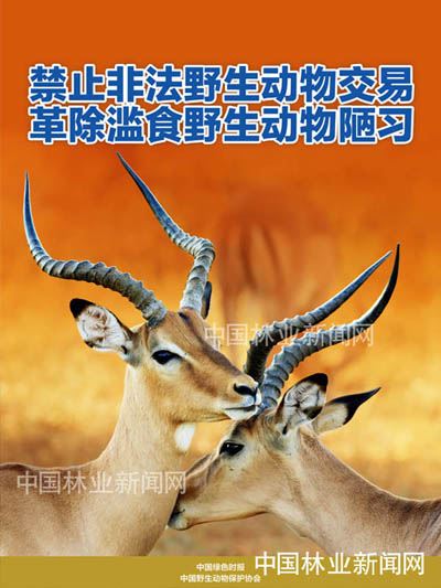 全民抗疫 林草奋力