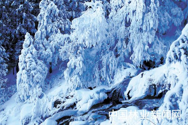 神奇的夏特古道