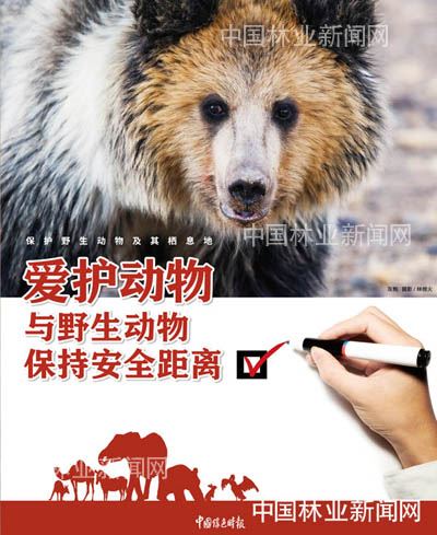 全民抗疫 林草奋力