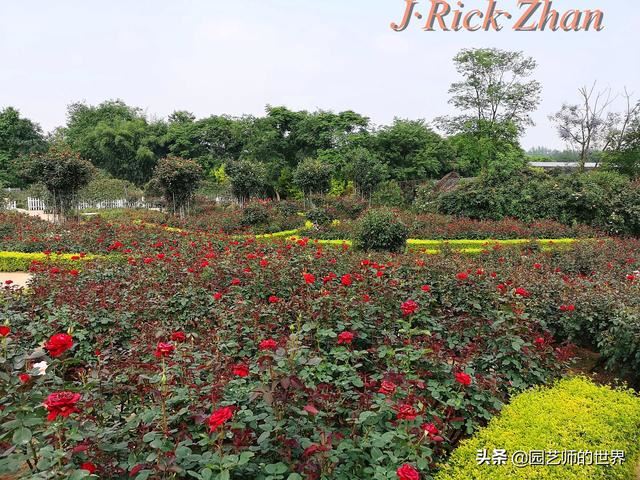 值得参观的国内优秀花园之品鉴（上篇）