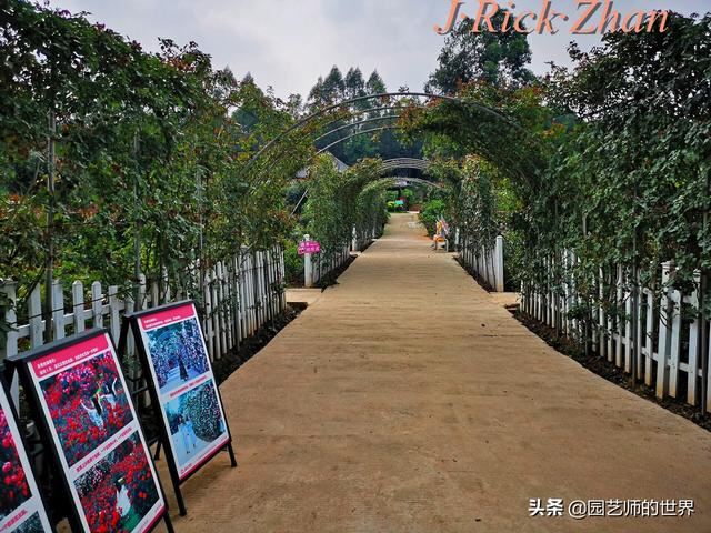 值得参观的国内优秀花园之品鉴（上篇）
