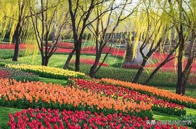 值得参观的国内优秀花园之品鉴（上篇）
