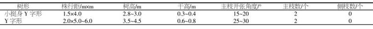 桃树小挺身 Y 字形早果高效栽培关键技术