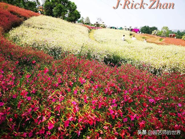 值得参观的国内优秀花园之品鉴（上篇）