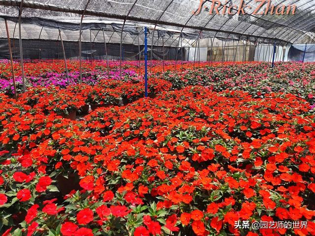 值得参观的国内优秀花园之品鉴（上篇）