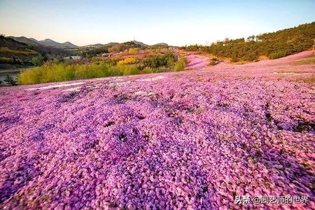 值得参观的国内优秀花园之品鉴（上篇）