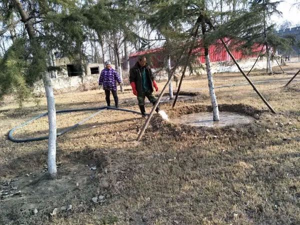 春天苗圃管理要及时，6项重点管理工作现在就要开始做