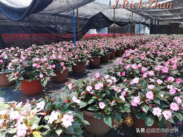 值得参观的国内优秀花园之品鉴（上篇）