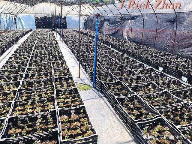 值得参观的国内优秀花园之品鉴（上篇）