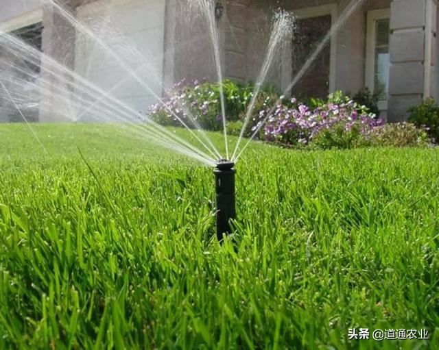 苗木返青水一定要浇明白，这些坑千万别踩，确保苗木安全入春