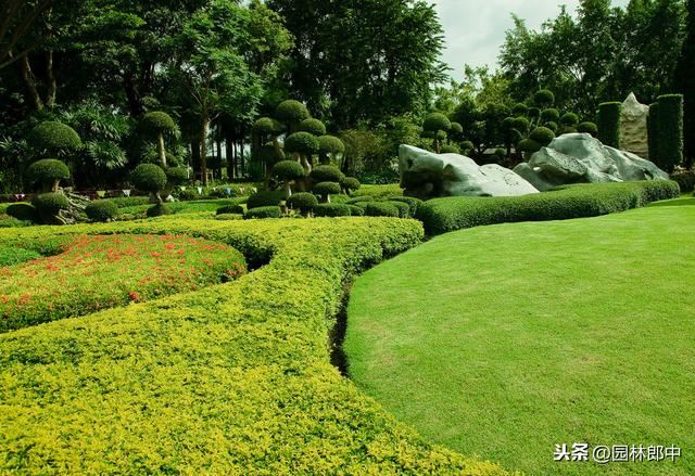 园林绿篱杂草难防除？那是你没找对方法，这样做成本减少一半！