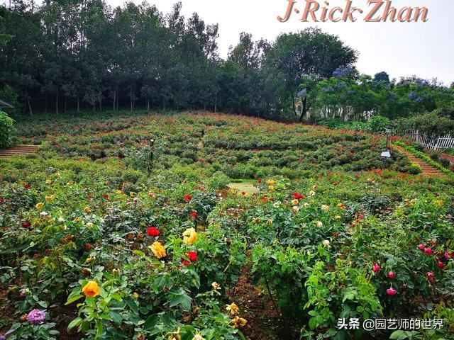 值得参观的国内优秀花园之品鉴（上篇）