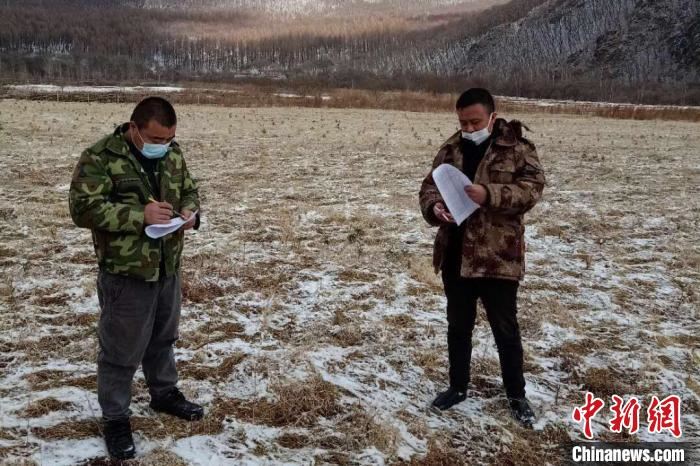 黑龙江造林须建苗木“档案” 数据“终生可溯” 黑龙江造林须建苗木“档案” 数据“终生可溯”