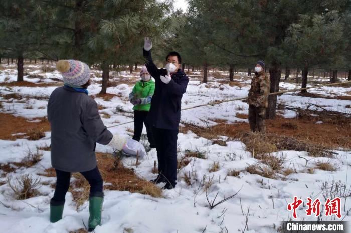 黑龙江造林须建苗木“档案” 数据“终生可溯” 黑龙江造林须建苗木“档案” 数据“终生可溯”