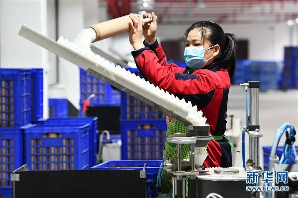 [林业扶贫]天然“宝贝”促增收——贵州锦屏县培育扶贫产业见闻