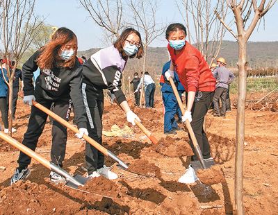 一起为大地添绿