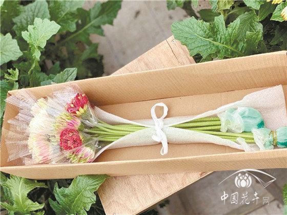 2020年直播就是花卉业最大的风口