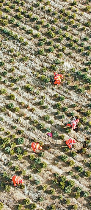 一起为大地添绿