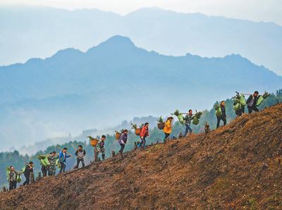 一起为大地添绿