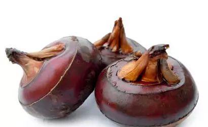 植物，那些你踩过的坑，那些你读错的字