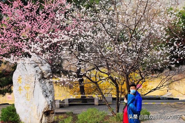 北京：植物园春花竞相开放，迎来最美春色