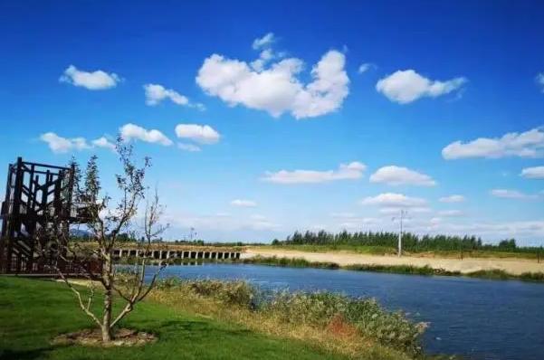 北戴河区快讯：深度推进绿化专项行动 九类土地织密“绿装”