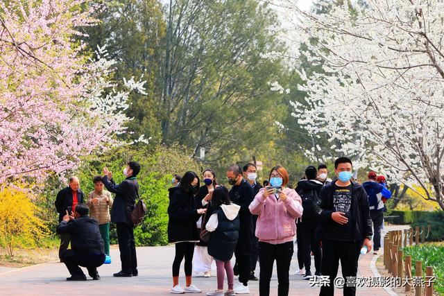 北京：植物园春花竞相开放，迎来最美春色